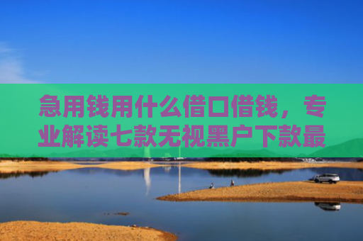 急用钱用什么借口借钱，专业解读七款无视黑户下款最快的网贷