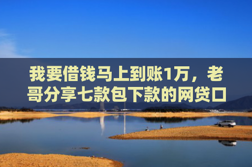 我要借钱马上到账1万，老哥分享七款包下款的网贷口子