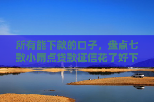 所有能下款的口子，盘点七款小雨点贷款征信花了好下款么