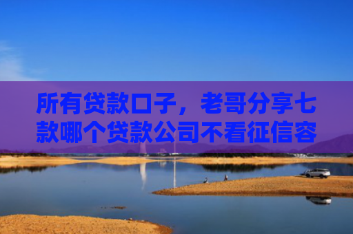 所有贷款口子，老哥分享七款哪个贷款公司不看征信容易下款的