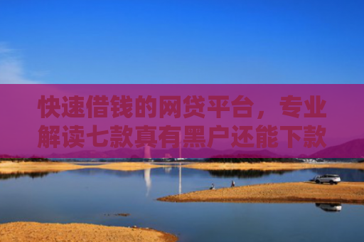 快速借钱的网贷平台，专业解读七款真有黑户还能下款的贷款