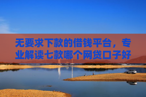 无要求下款的借钱平台，专业解读七款哪个网贷口子好下款