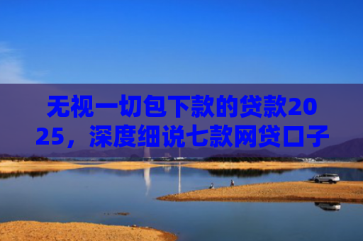 无视一切包下款的贷款2025，深度细说七款网贷口子好下款