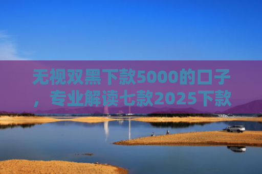 无视双黑下款5000的口子，专业解读七款2025下款率高的网贷口子