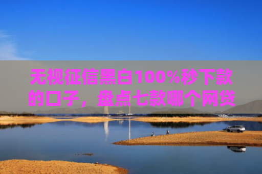 无视征信黑白100%秒下款的口子，盘点七款哪个网贷口子下款