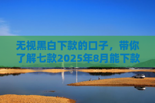 无视黑白下款的口子，带你了解七款2025年8月能下款的网贷口子