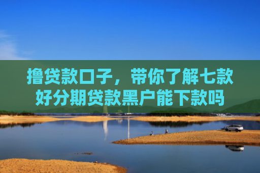 撸贷款口子，带你了解七款好分期贷款黑户能下款吗