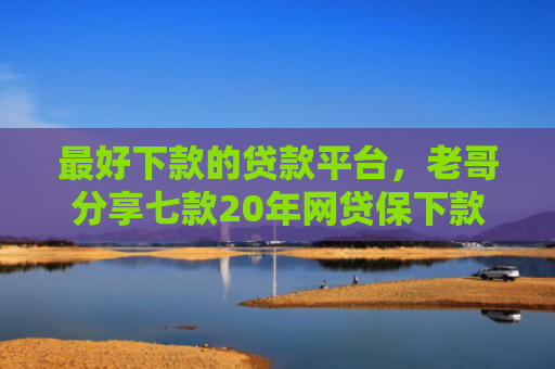 最好下款的贷款平台，老哥分享七款20年网贷保下款口子