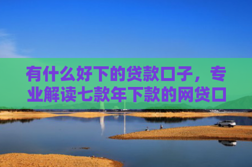 有什么好下的贷款口子，专业解读七款年下款的网贷口子