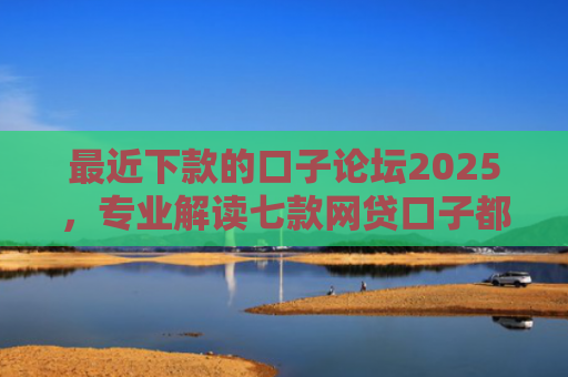 最近下款的口子论坛2025，专业解读七款网贷口子都不下款了