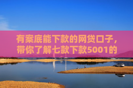 有案底能下款的网贷口子，带你了解七款下款5001的网贷口子