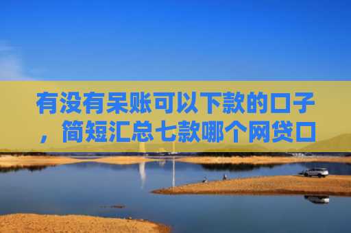 有没有呆账可以下款的口子，简短汇总七款哪个网贷口子最好下款