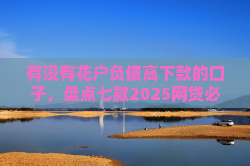 有没有花户负债高下款的口子，盘点七款2025网贷必下款口子