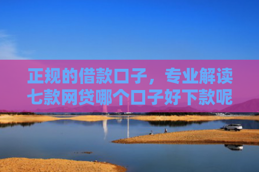 正规的借款口子，专业解读七款网贷哪个口子好下款呢