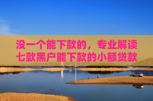 没一个能下款的，专业解读七款黑户能下款的小额贷款吗