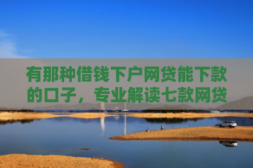有那种借钱下户网贷能下款的口子，专业解读七款网贷下款口子怎么找