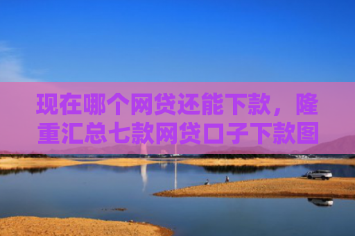 现在哪个网贷还能下款，隆重汇总七款网贷口子下款图