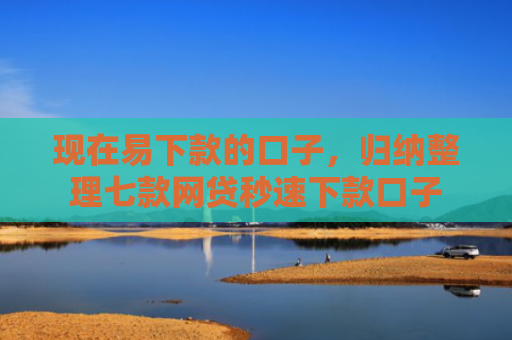 现在易下款的口子，归纳整理七款网贷秒速下款口子