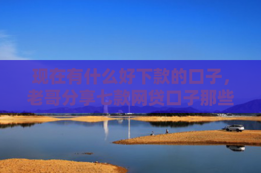 现在有什么好下款的口子，老哥分享七款网贷口子那些下款快