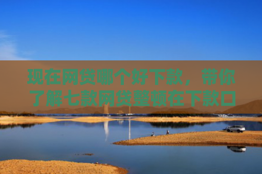 现在网贷哪个好下款，带你了解七款网贷整顿在下款口子