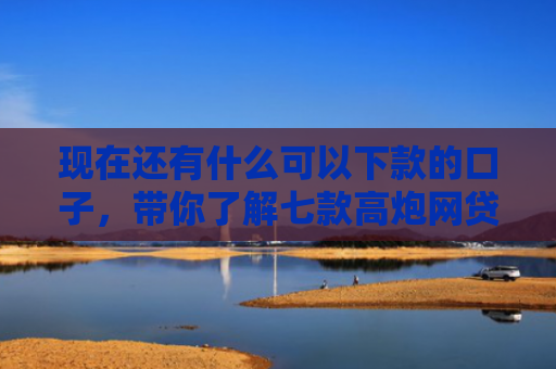 现在还有什么可以下款的口子，带你了解七款高炮网贷口子下款