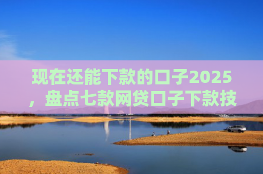 现在还能下款的口子2025，盘点七款网贷口子下款技巧