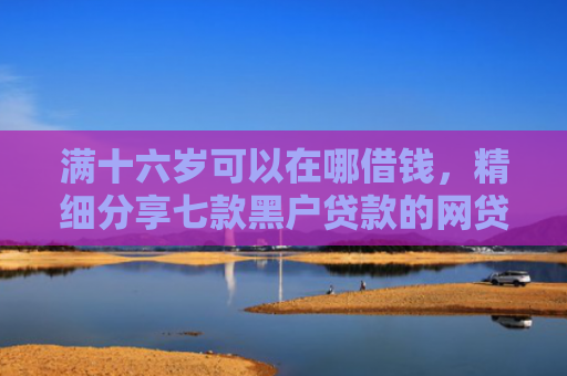 满十六岁可以在哪借钱，精细分享七款黑户贷款的网贷能下款吗