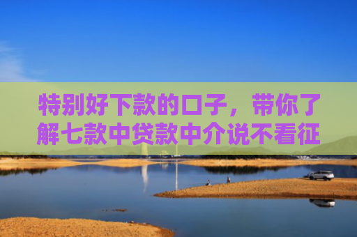 特别好下款的口子，带你了解七款中贷款中介说不看征信直接下款