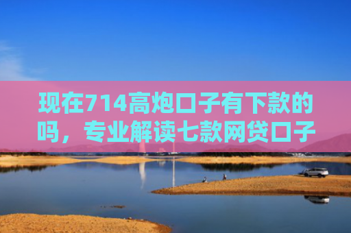 现在714高炮口子有下款的吗，专业解读七款网贷口子下款图片