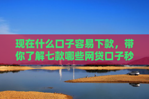 现在什么口子容易下款，带你了解七款哪些网贷口子秒下款