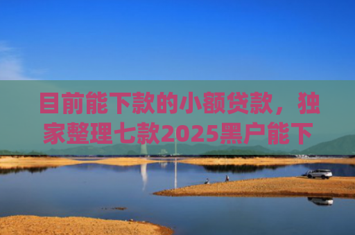 目前能下款的小额贷款，独家整理七款2025黑户能下款的app