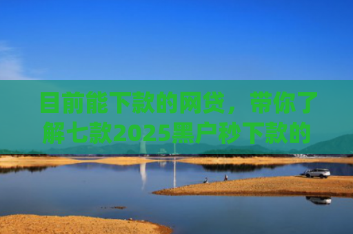 目前能下款的网贷，带你了解七款2025黑户秒下款的app