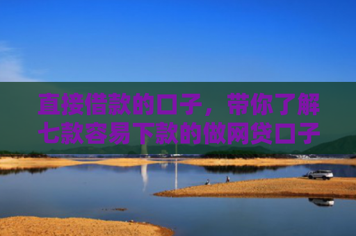 直接借款的口子，带你了解七款容易下款的做网贷口子