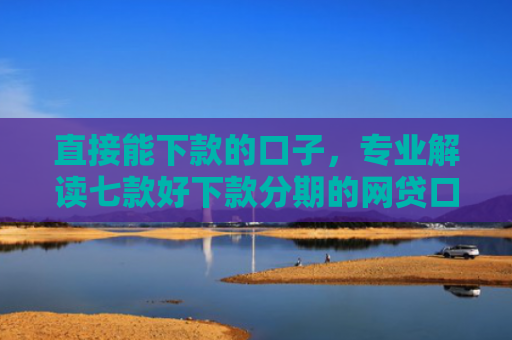 直接能下款的口子，专业解读七款好下款分期的网贷口子