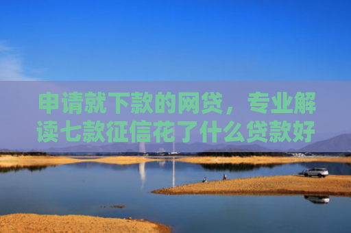 申请就下款的网贷，专业解读七款征信花了什么贷款好下款