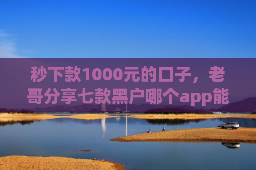 秒下款1000元的口子，老哥分享七款黑户哪个app能下款
