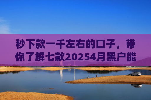秒下款一千左右的口子，带你了解七款20254月黑户能下款app