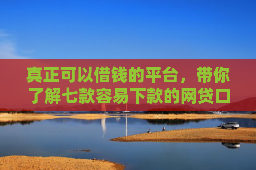 真正可以借钱的平台，带你了解七款容易下款的网贷口子高