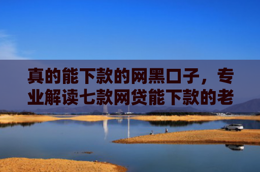 真的能下款的网黑口子，专业解读七款网贷能下款的老口子