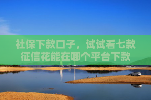 社保下款口子，试试看七款征信花能在哪个平台下款