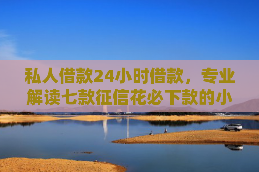 私人借款24小时借款，专业解读七款征信花必下款的小额贷款
