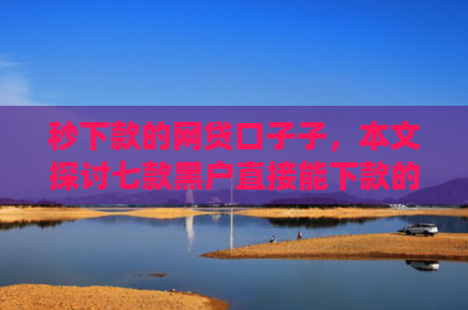 秒下款的网贷口子子，本文探讨七款黑户直接能下款的app