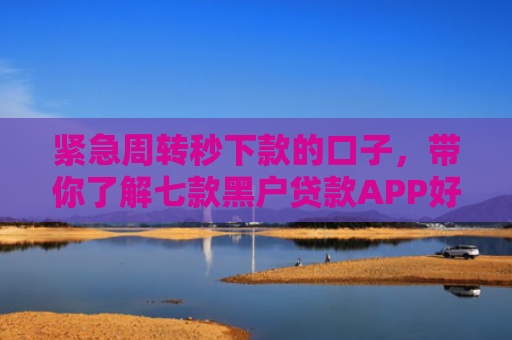 紧急周转秒下款的口子，带你了解七款黑户贷款APP好下款