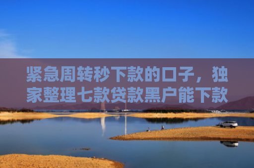 紧急周转秒下款的口子，独家整理七款贷款黑户能下款的