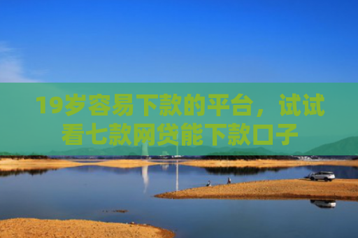 19岁容易下款的平台，试试看七款网贷能下款口子