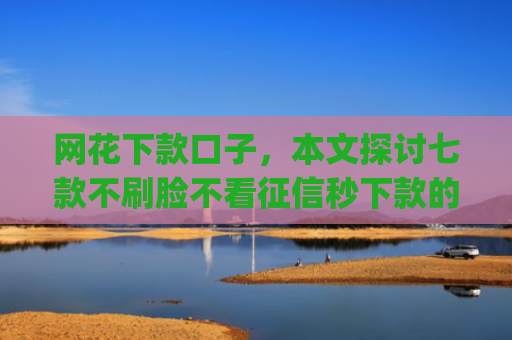 网花下款口子，本文探讨七款不刷脸不看征信秒下款的app