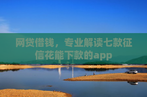 网贷借钱，专业解读七款征信花能下款的app