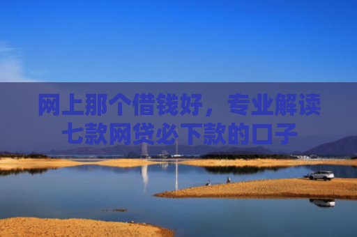 网上那个借钱好，专业解读七款网贷必下款的口子
