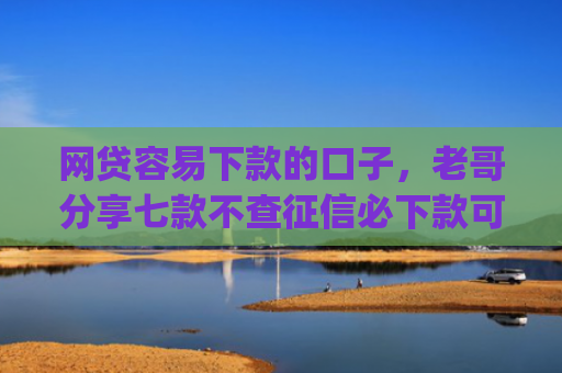 网贷容易下款的口子，老哥分享七款不查征信必下款可以分期的app