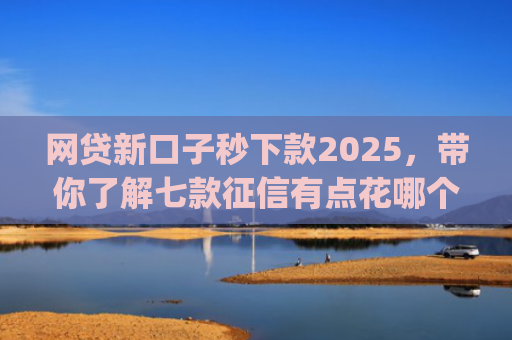 网贷新口子秒下款2025，带你了解七款征信有点花哪个app可以下款